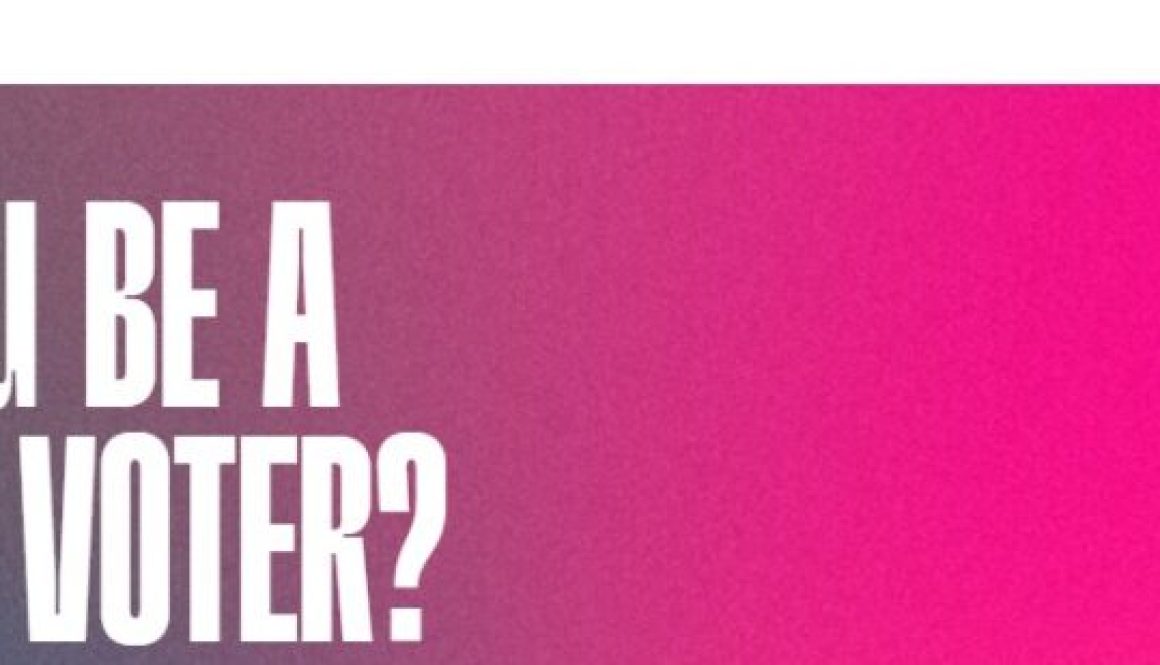 I'm a climate voter top (2)