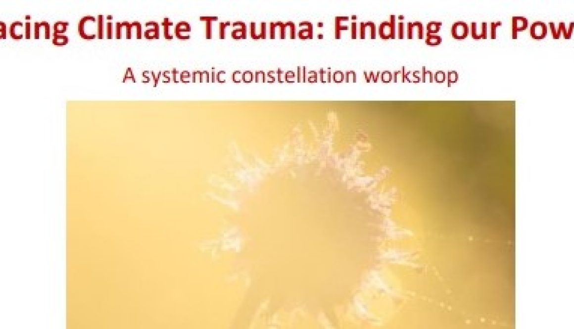 Climate-Trauma-narrow