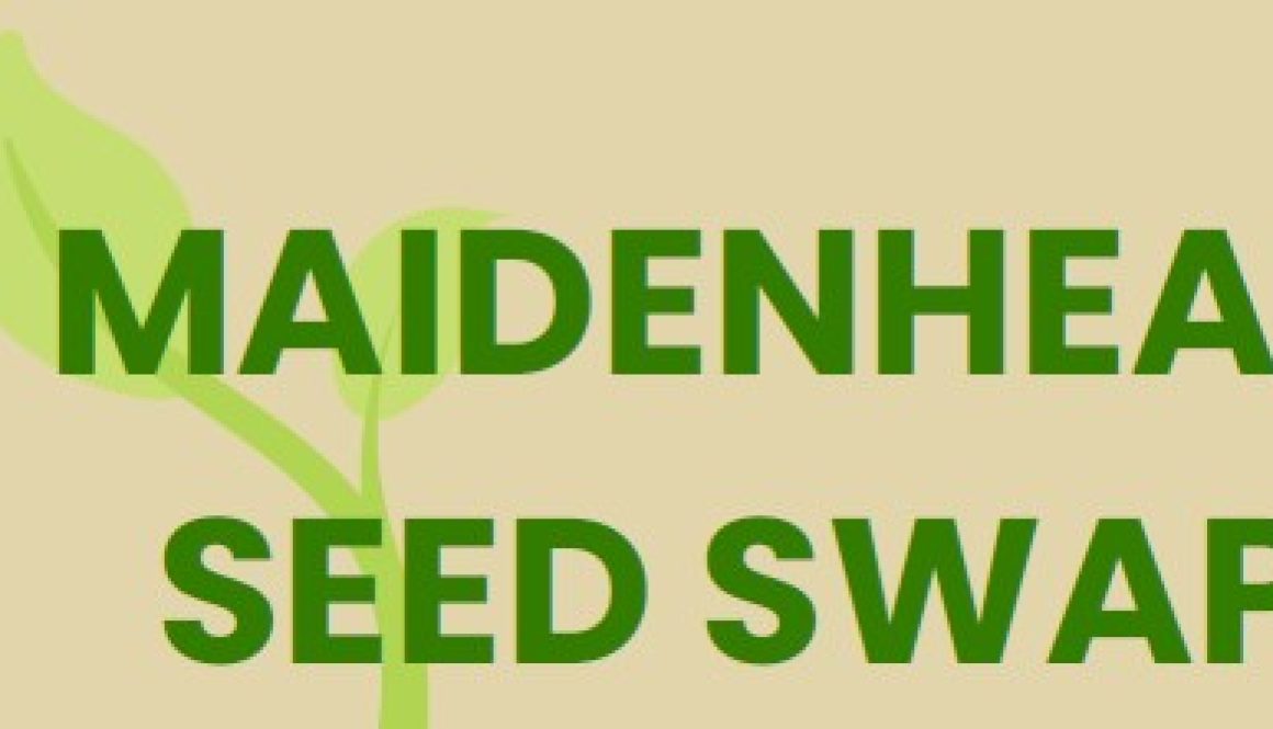 MAidenhead Seed Swap 2025