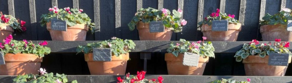 2024-01-09_13-21-30_963