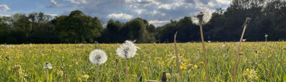 2024-05-04_17-42-01_513