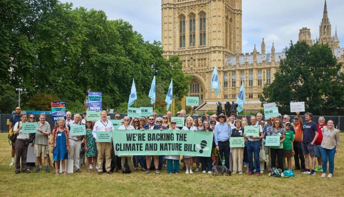 d6e16cf7-03ae-b383-99fb-c237130d77e9