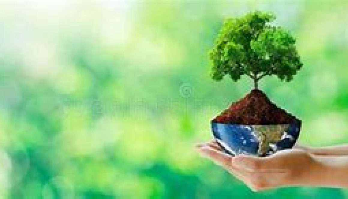 Hands and Bonsai Earth