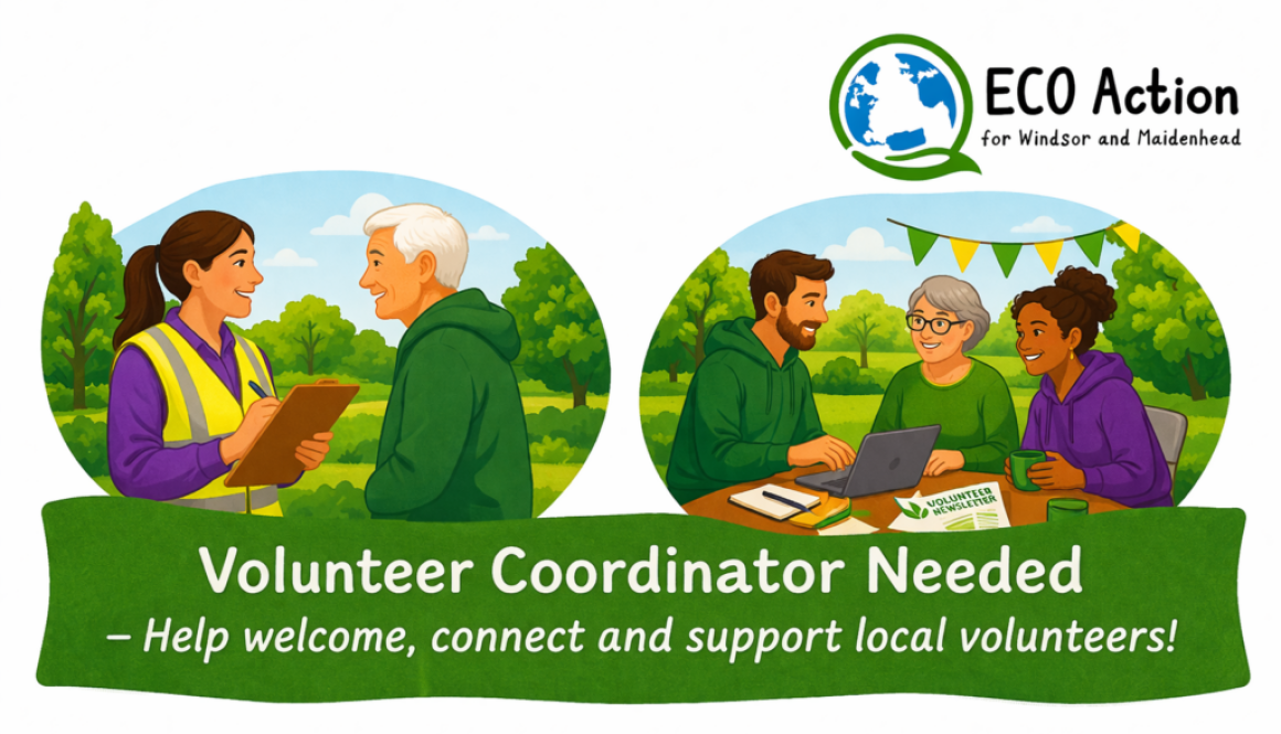 Volunteer Coordinator Job